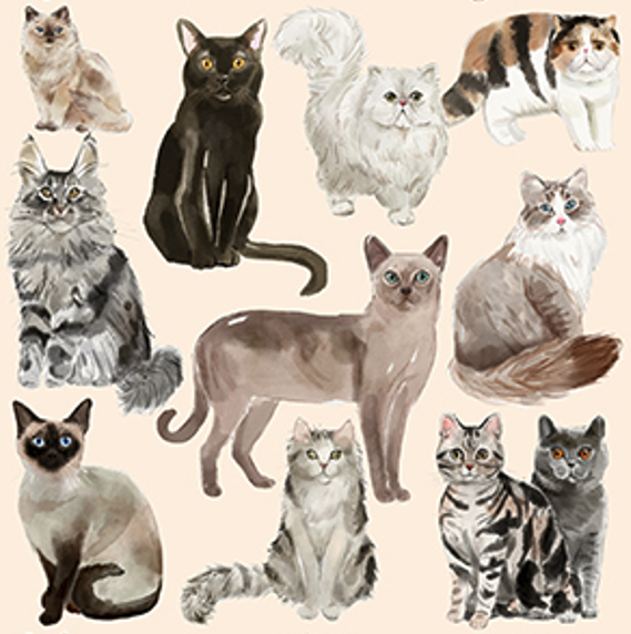 Cinnamon Trust Cat Print Scarf