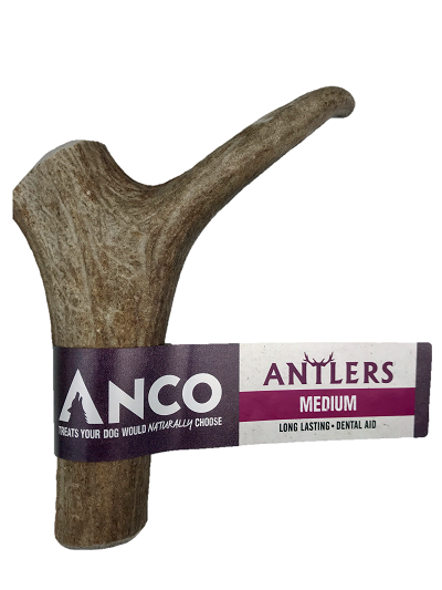 Natural Antler Chew