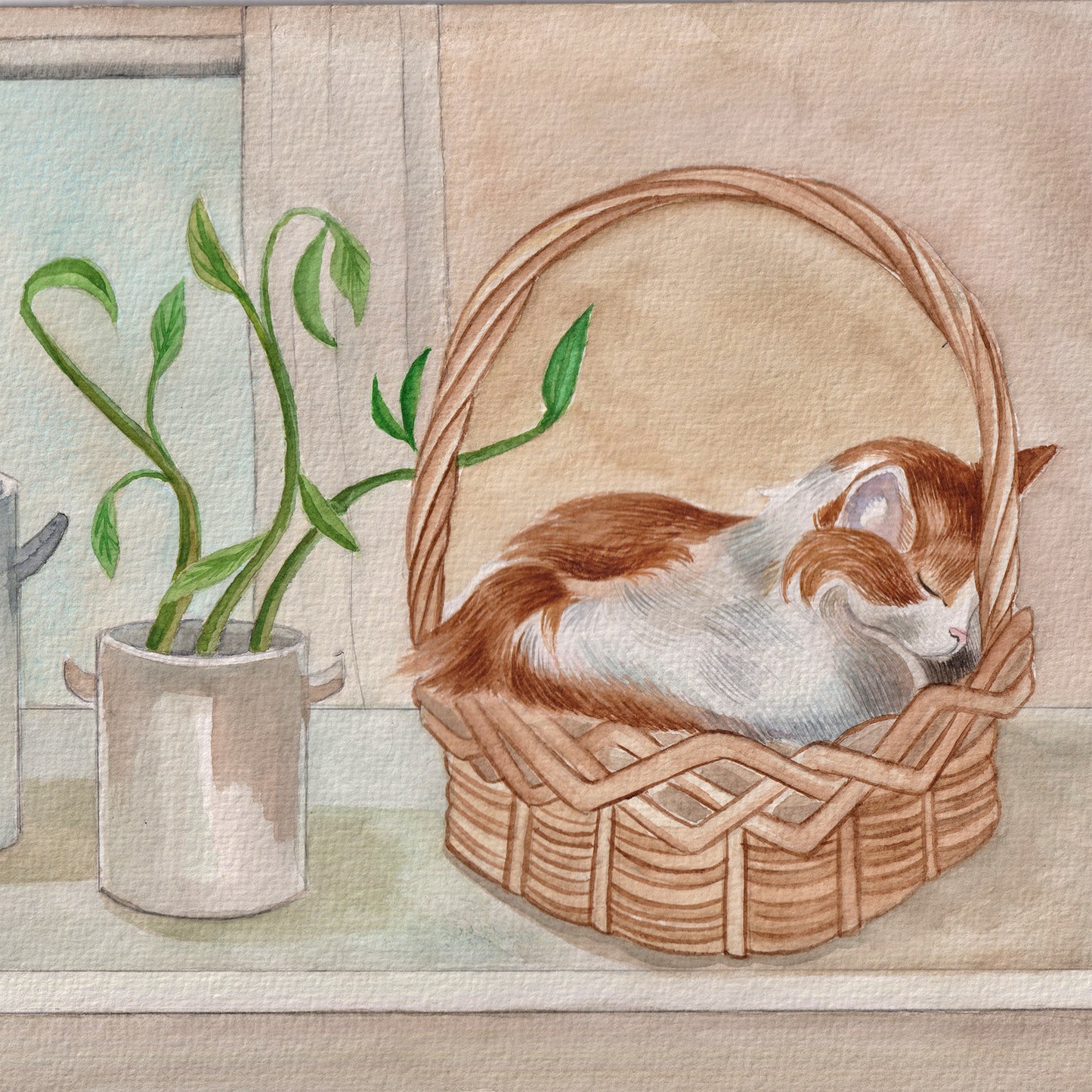 Everyday Cards Cats