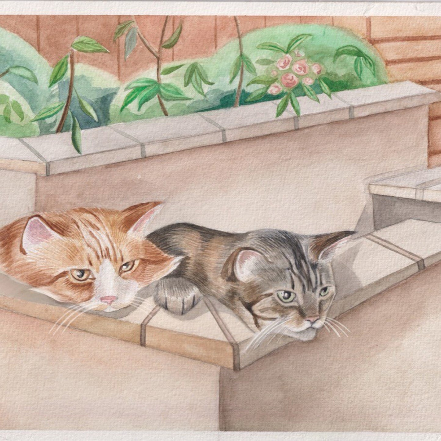 Everyday Cards Cats