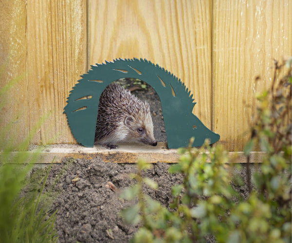 Hedgehog Gate
