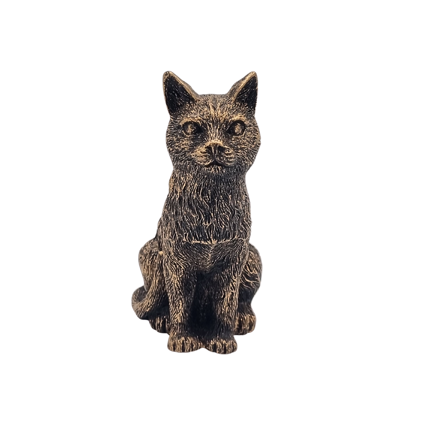 Potty Feet Cat