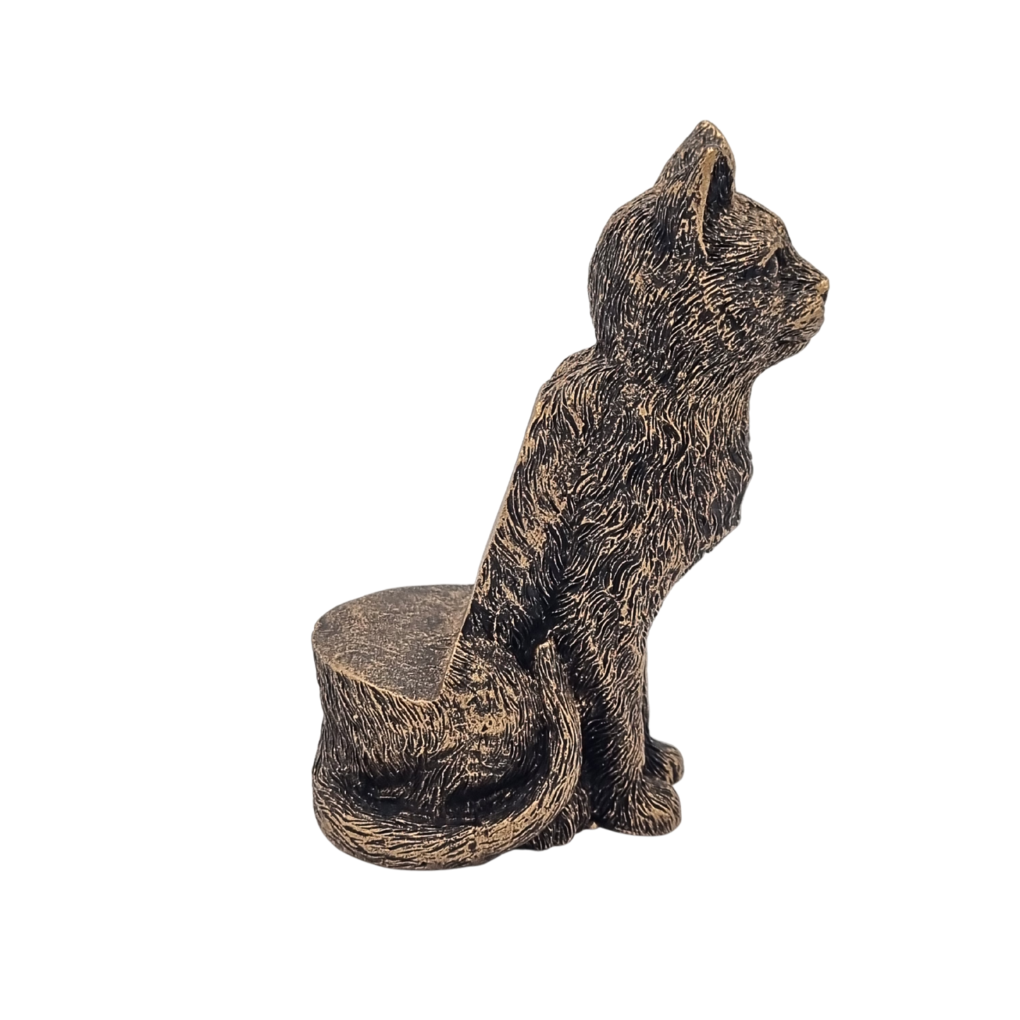 Potty Feet Cat