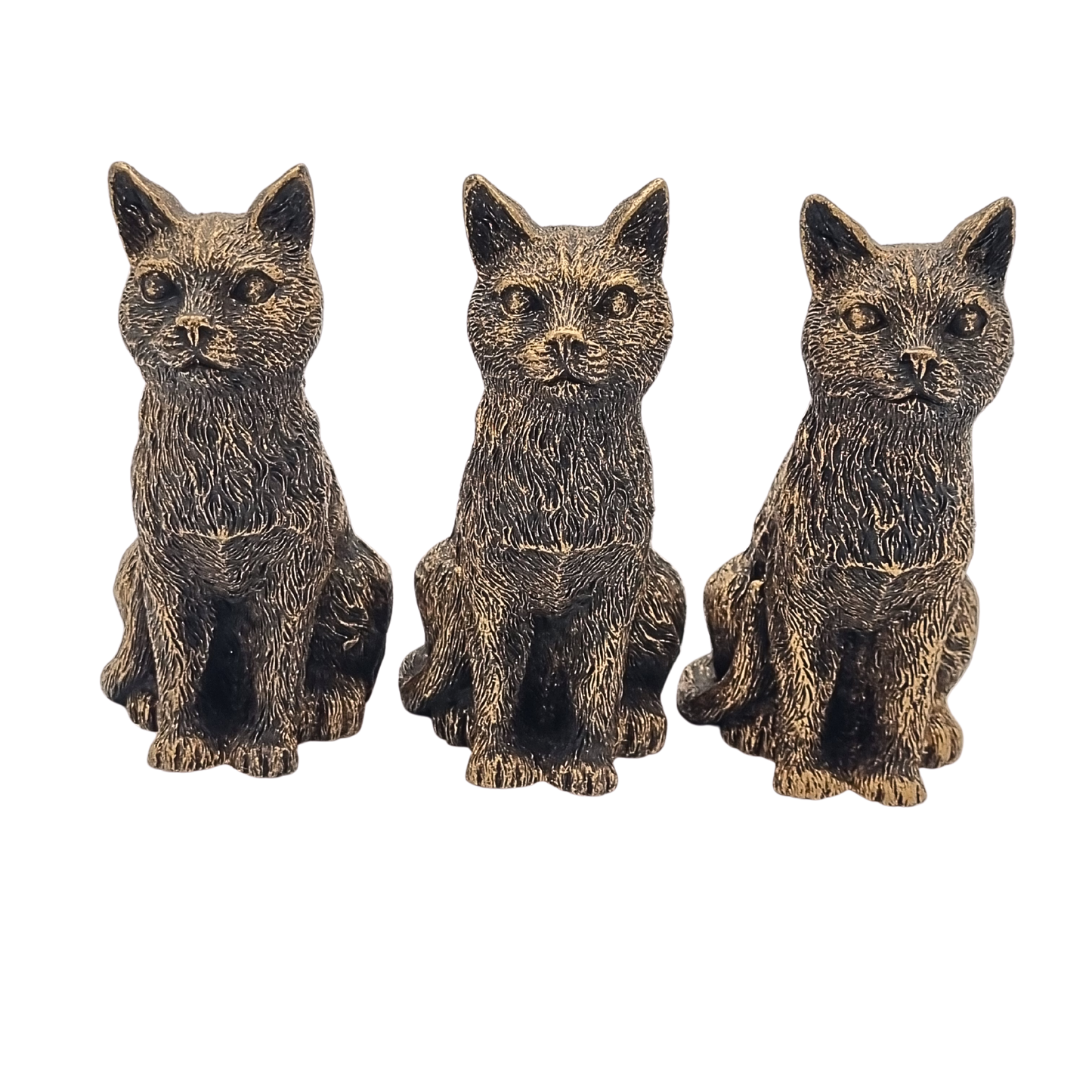 Potty Feet Cat