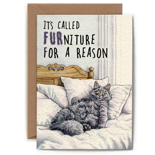 FURniture Cat Card