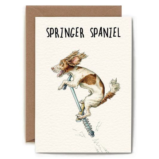 Springer Spaniel Card