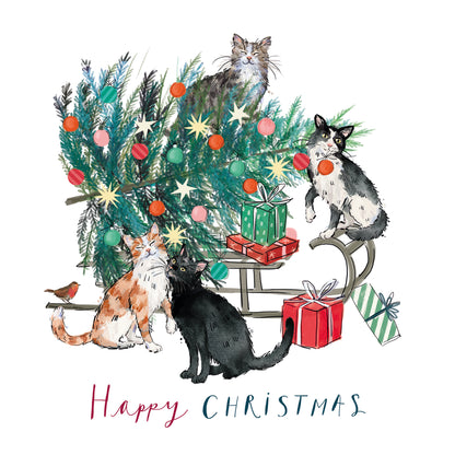 Cats In The Christmas Tree Twin Pack Christmas Cards