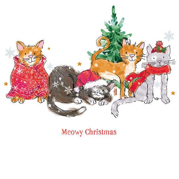Cats Twin Pack Christmas Cards