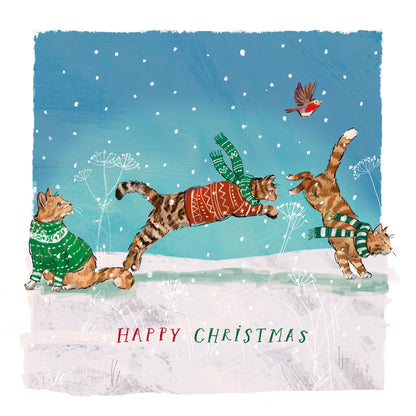 Cats In The Christmas Tree Twin Pack Christmas Cards