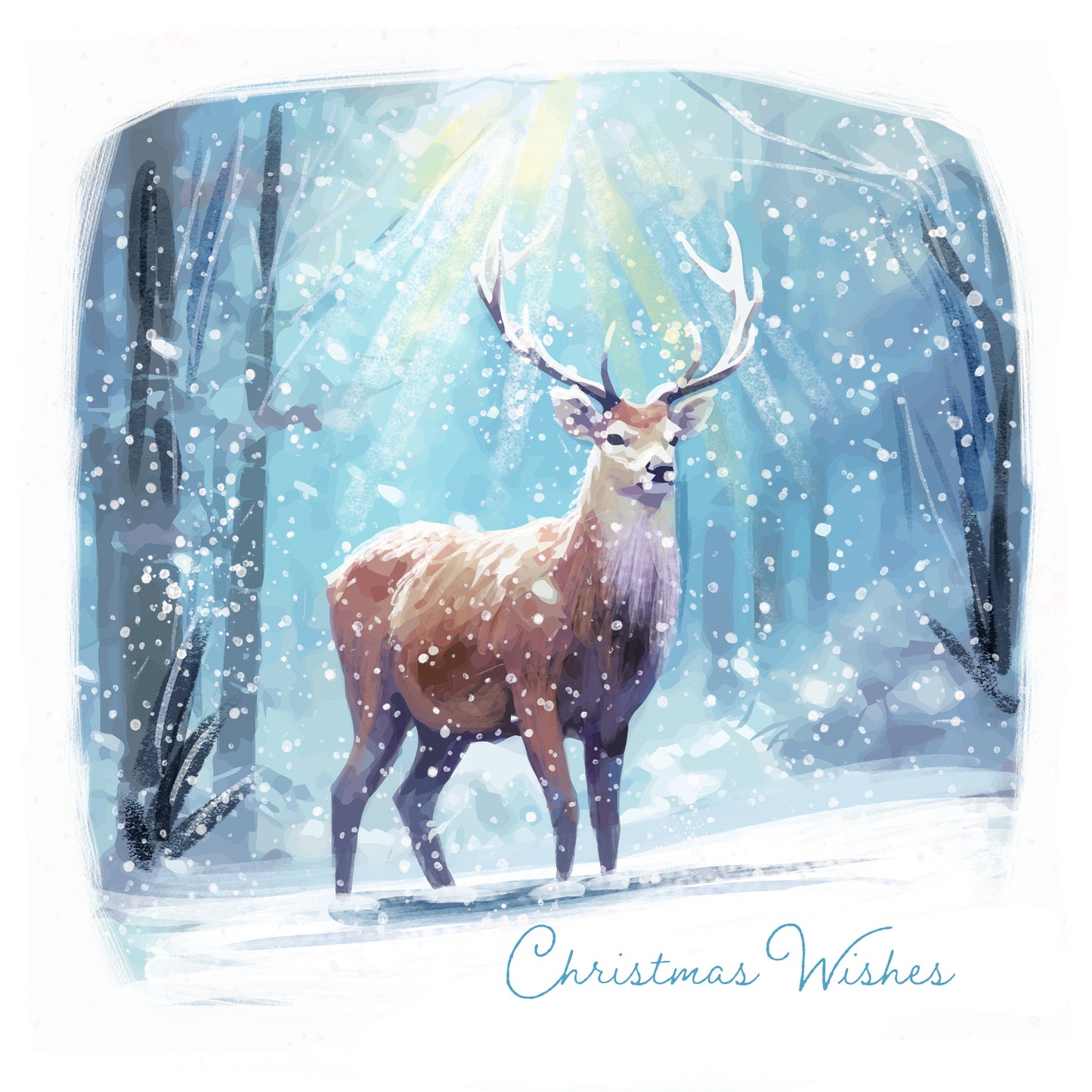 Christmas In The Woods Twin Pack Christmas Cards