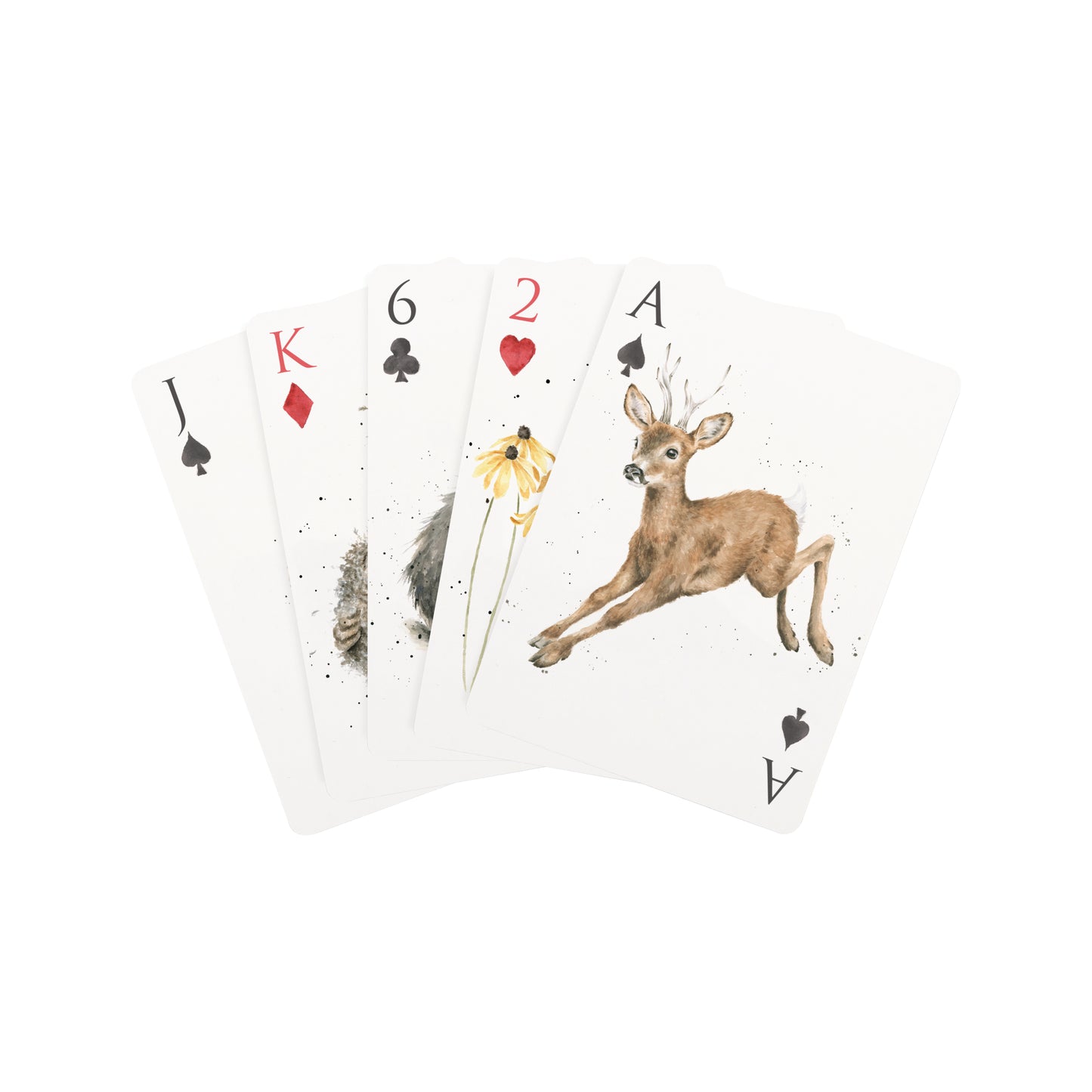 Wrendale Playing Card Gift Set