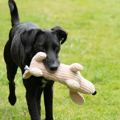 Dougie Delhi dog Toy