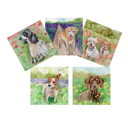 Everyday Cards dogs
