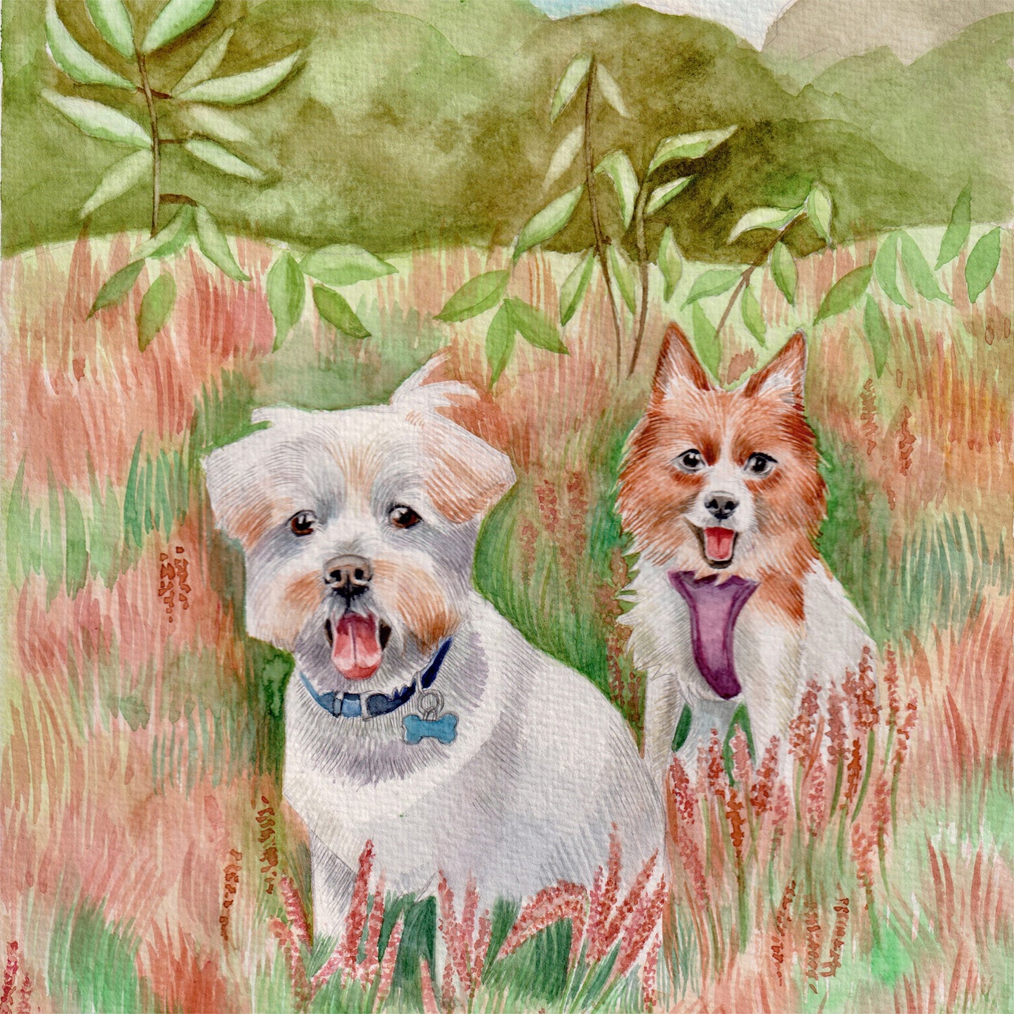 Everyday Cards dogs