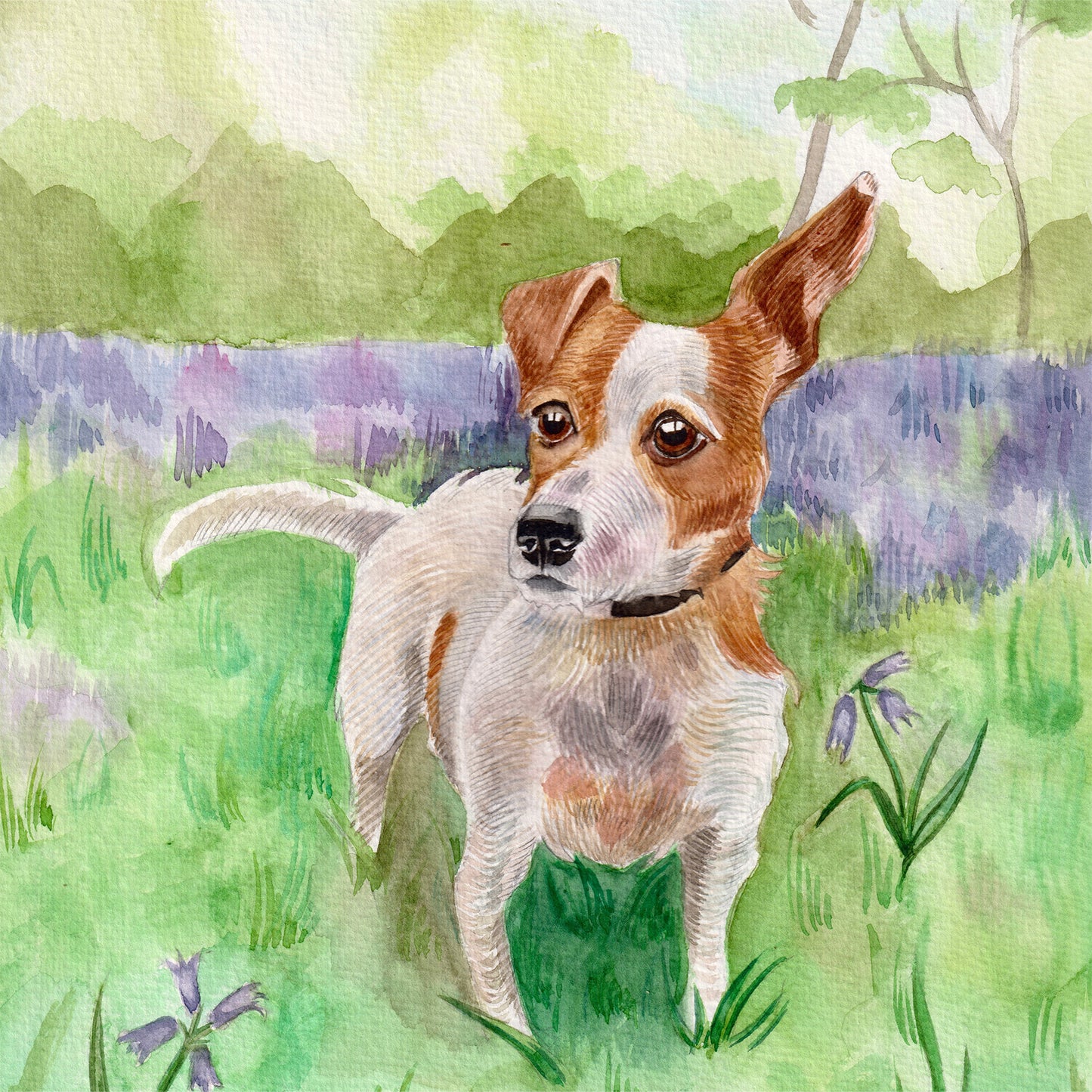 Everyday Cards dogs