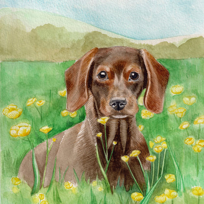 Everyday Cards dogs