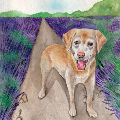 Everyday Cards dogs
