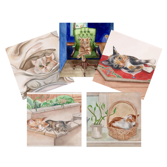 Everyday Cards Cats