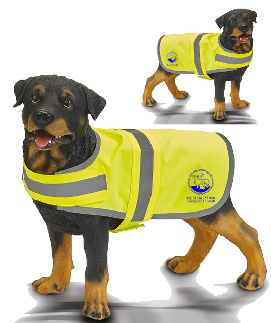 High Visibility Dog Coat