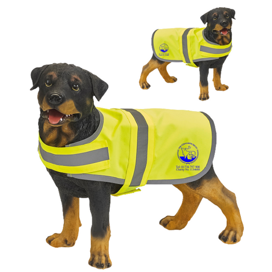 High Visibility Dog Coat