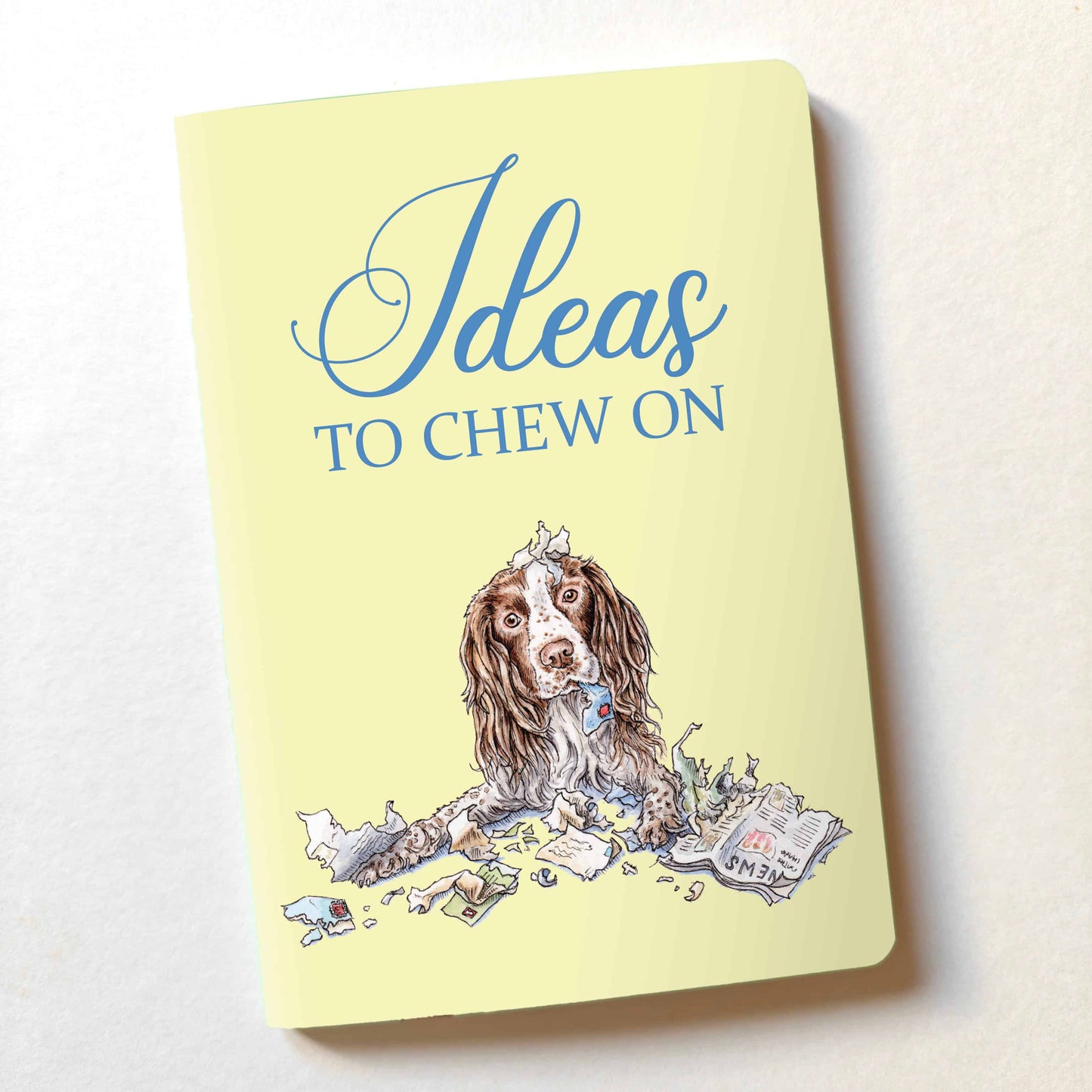 Ideas To Chew On