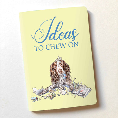 Ideas To Chew On