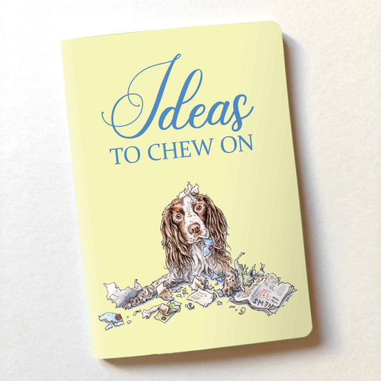 Ideas To Chew On