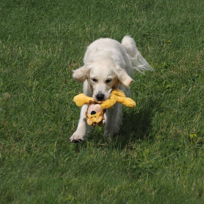 Luca Lion Dog Toy