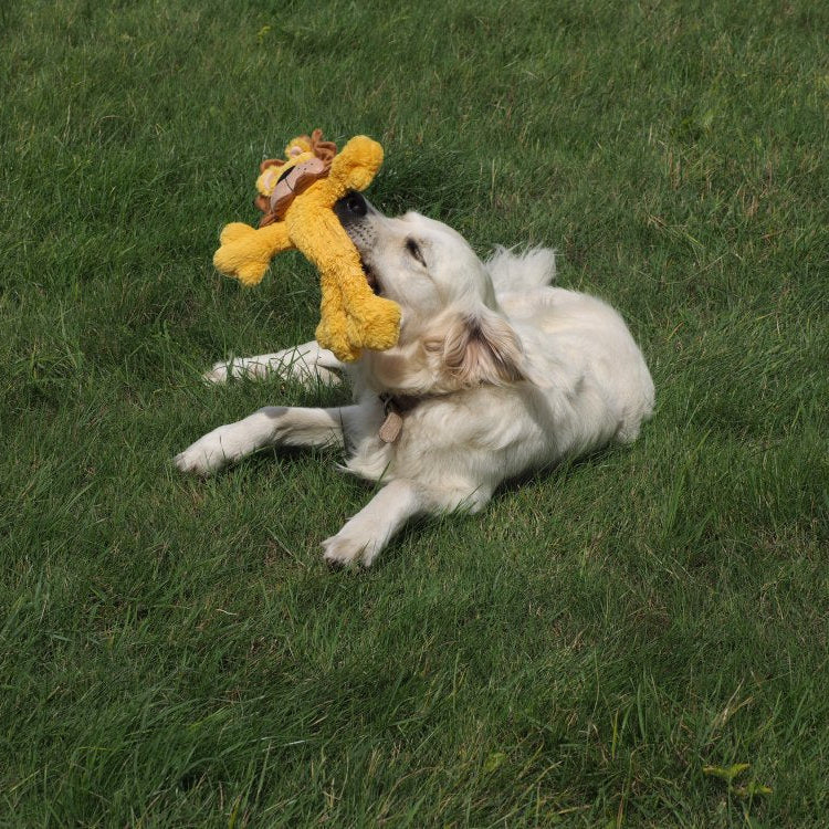 Luca Lion Dog Toy