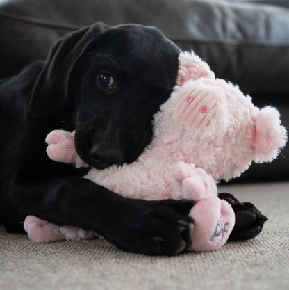 Peony Pig Dog Tog