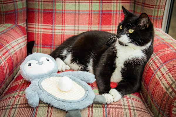 Poppy Penguin Cat Scratcher