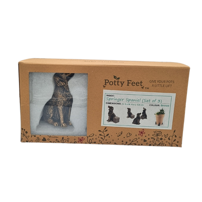 Potty Feet Springer Spaniel