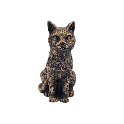 Potty Feet Cat