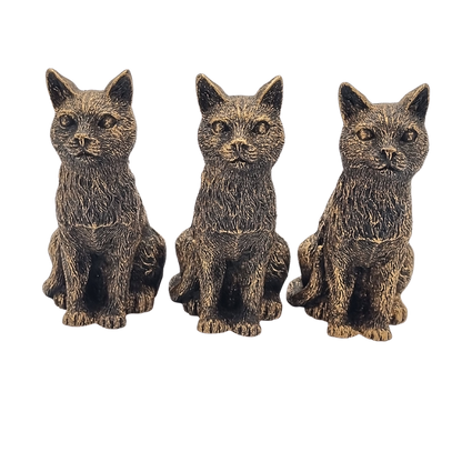 Potty Feet Cat