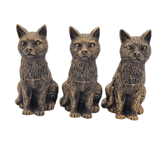 Potty Feet Cat