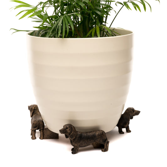 Potty Feet Dachshund