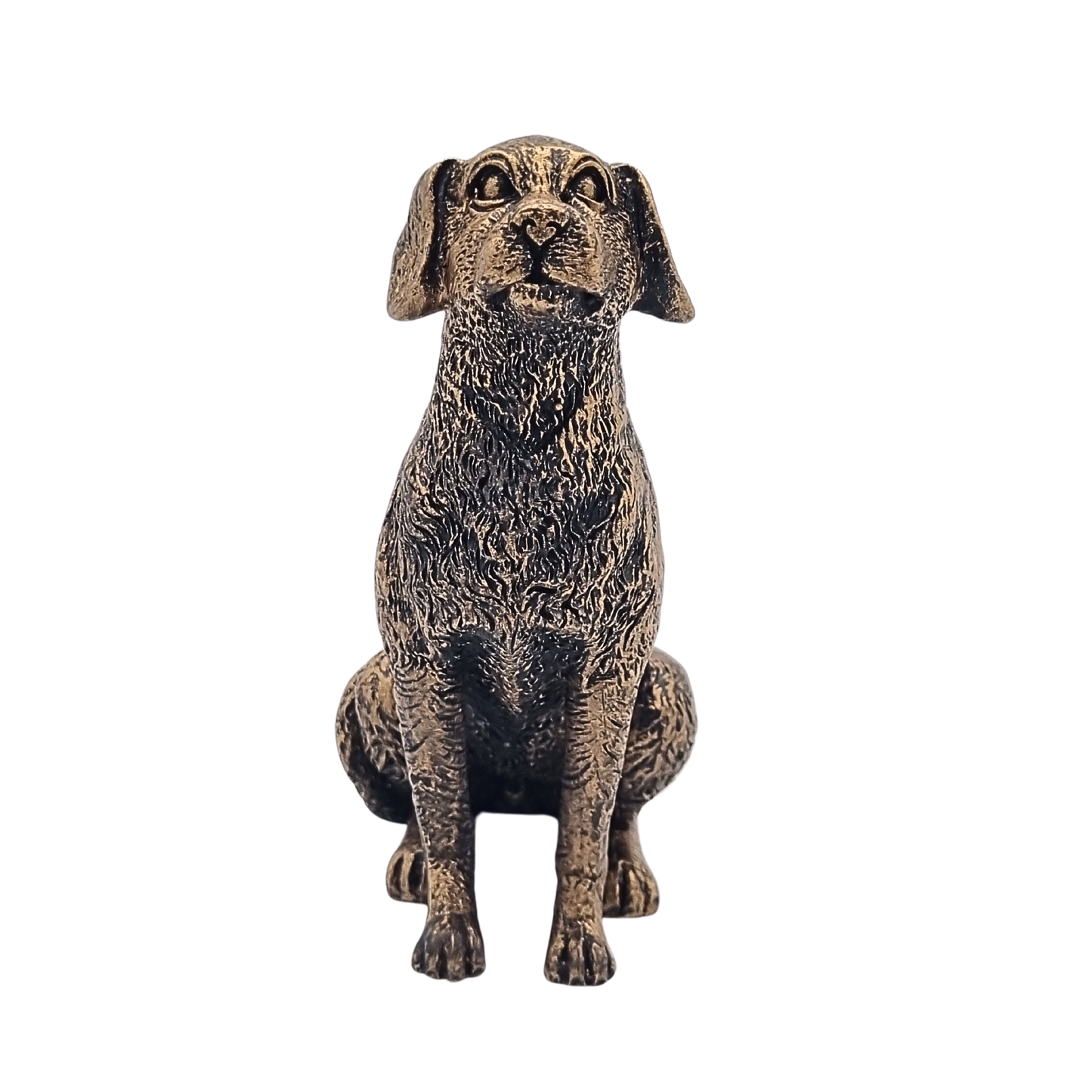 Potty Feet Labrador