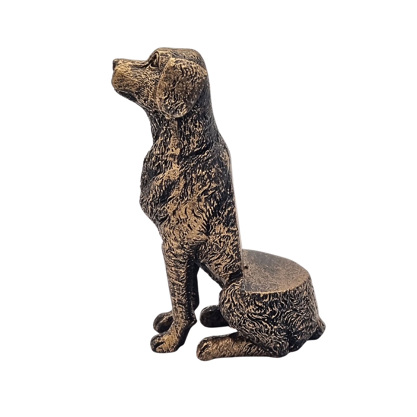 Potty Feet Labrador