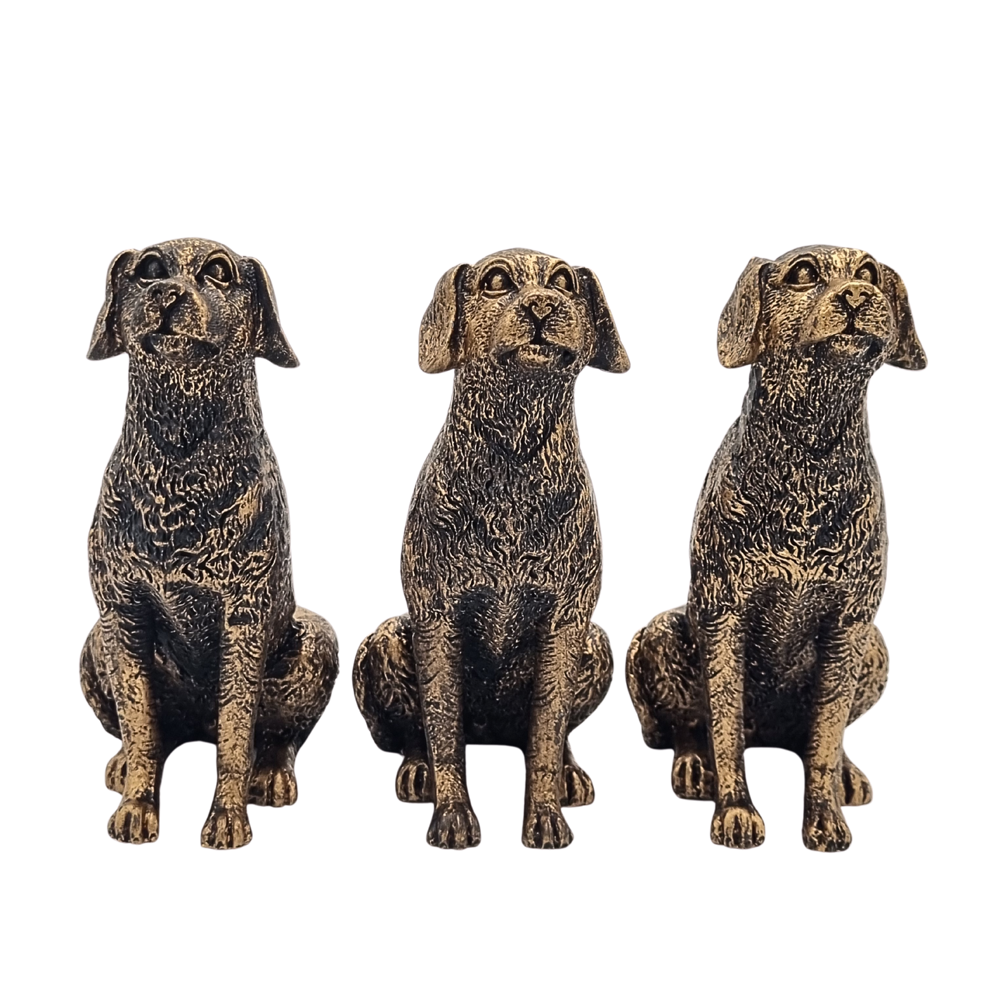 Potty Feet Labrador