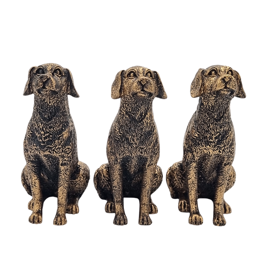Potty Feet Labrador