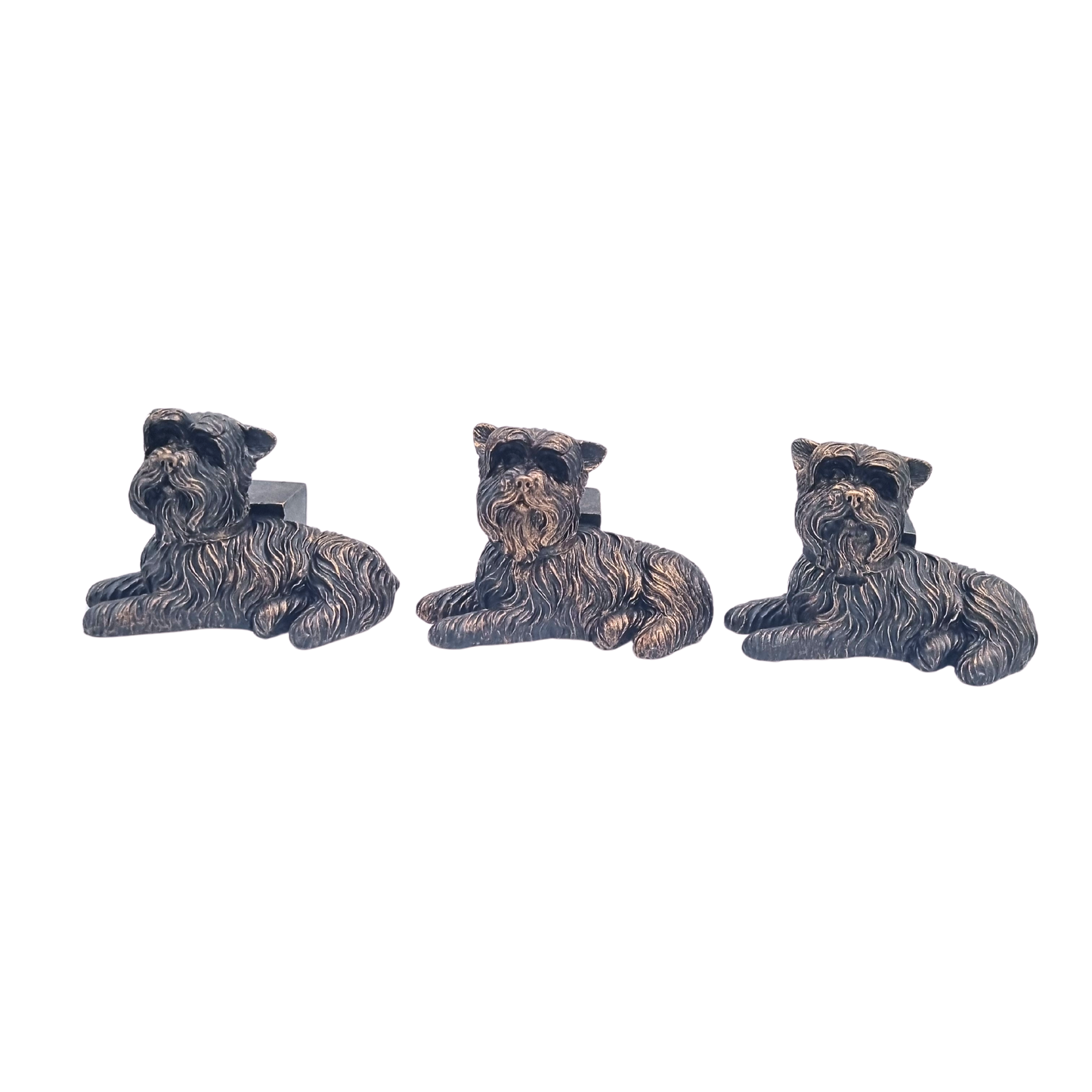 Potty Feet Yorkshire Terrier