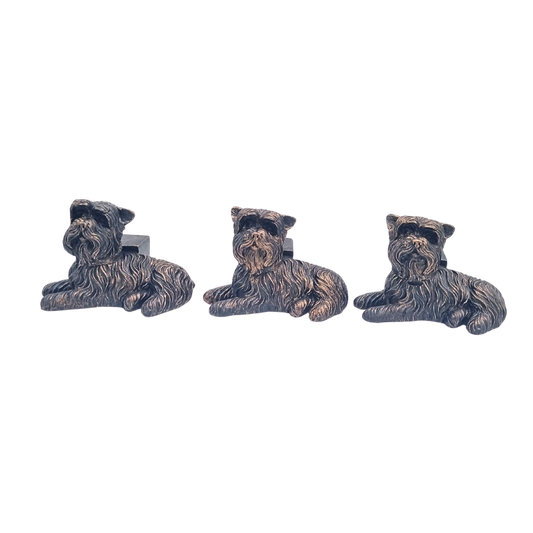 Potty Feet Yorkshire Terrier