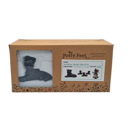 Potty Feet Yorkshire Terrier