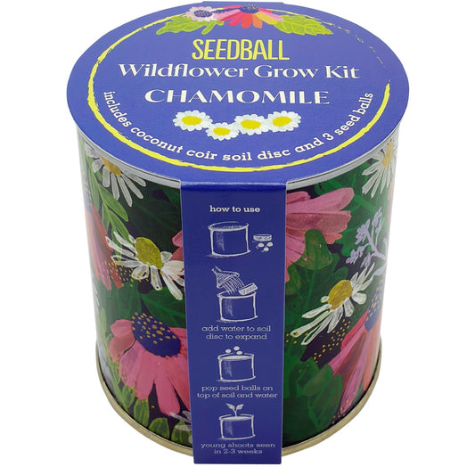 Wildflower Growing Kits